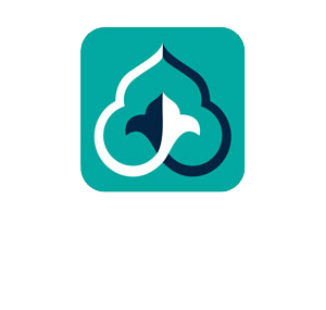بنیاد نوآوری و توسعه فناوری دکتر محمود شیخ زین الدین